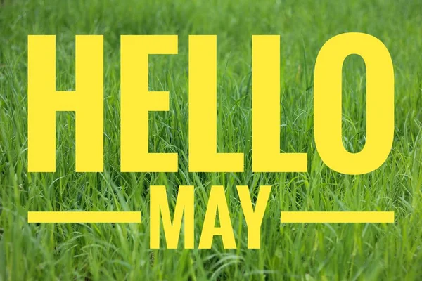 Banner hello may. Welcome picture. New month. Warm month. the month of May. Spring month.