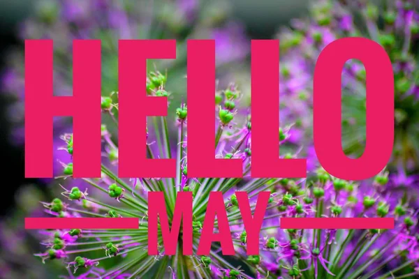 Hello may Images - Search Images on Everypixel