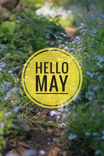 Banner hello may. Welcome picture. New month. Warm month. the month of May. Spring month.