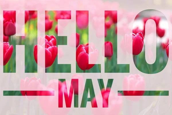 Banner... Olá, May. Bem-vinda. Novo mês. Um mês quente. o mês de Maio. Mês de primavera . — Fotografia de Stock
