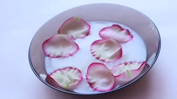 Milch Schale Mit Rosenblättern Schwimmend — Stockvideo