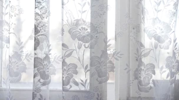 Daylight Curtain Lace Window Background — Stock Video