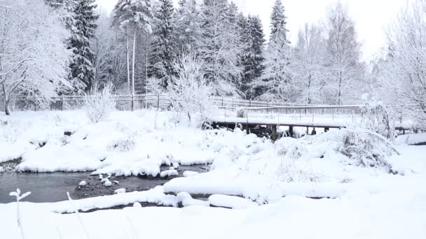 Winterlandschap Met Besneeuwde Bomen Rivier Overdag — Stockvideo