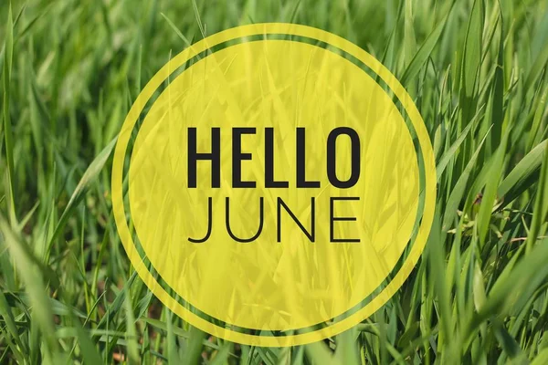 Banner Hello juni. Tekst op de foto. Tekst Hello June. Nieuwe maand. Nieuwe seizoen. Zomermaand. Tekst op een foto van bloemen. Bloemen en planten. — Stockfoto