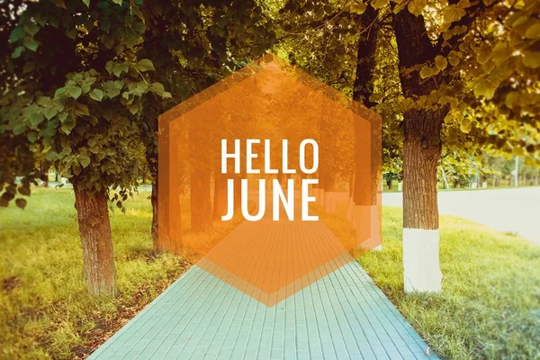 Banner Hello juni. Tekst op de foto. Tekst Hello June. Nieuwe maand. Nieuwe seizoen. Zomermaand. — Stockfoto