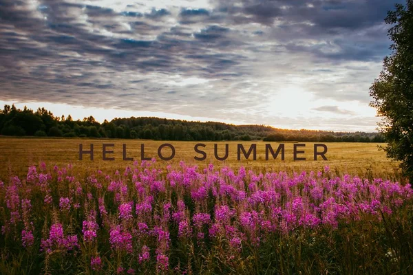 Hallo sommerbanneret. Tekst på bildet. Hei på deg, sommer. Ny måned. Ny sesong. Sommer. Tekst på fotosolnedgang. Sommersolnedgang . – stockfoto