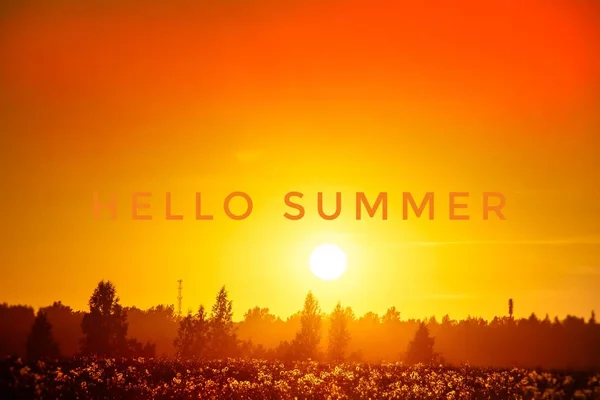 Hello Summer banner. Text på fotot. Text Hello Summer. Ny månad. Ny säsong. Sommaren. Text på foto solnedgång. Sommar solnedgång. — Stockfoto