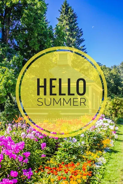 Hello summer banner. Text on the photo. Text hello summer. New month. New season. Summer. Text on a photo of flowers. Summer flowers.