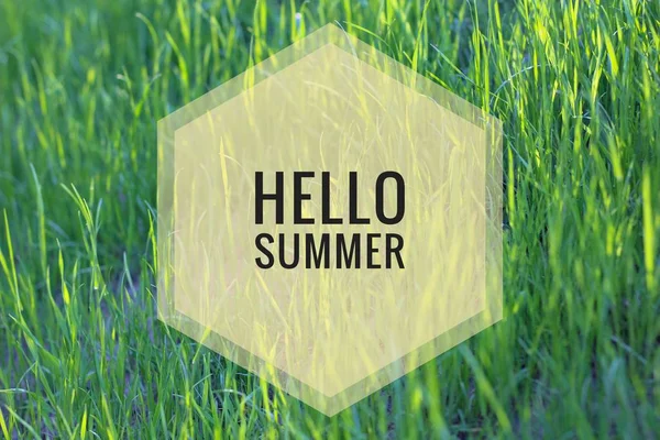 Merhaba yaz afiş. Fotoğraftaki metin. Metin merhaba yaz. Yeni ay. Yeni sezon. Yaz. Çiçeklerin fotoğrafına mesaj at. Yaz çiçekleri.