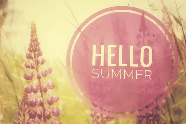 안녕하세요 여름 배너. 사진의 텍스트입니다. 텍스트 안녕하세요 여름. 새 달입니다. 새로운 시즌. 여름. 꽃 의 사진에 텍스트입니다. 여름 꽃. — 스톡 사진