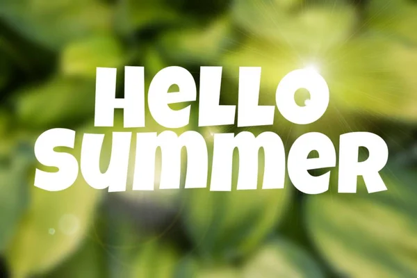 Hallo Sommer Banner. Text auf dem Foto. Text hallo Sommer. neuen Monat. Neue Saison. Sommer. Text auf einem Foto von Blumen. Sommerblumen. — Stockfoto