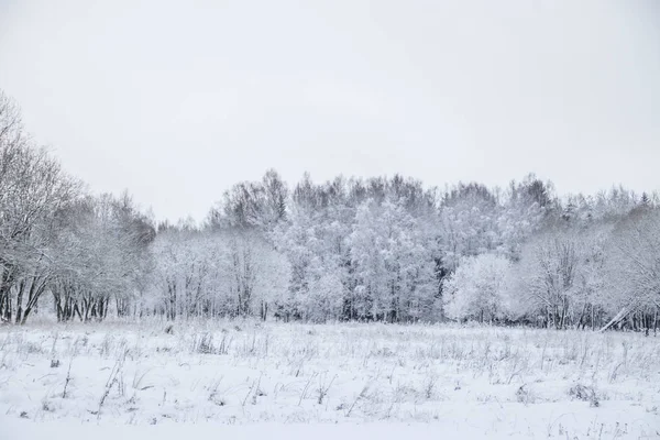 多云天气下雪地的冬季景观 — 图库照片