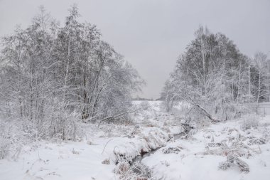 Bulutlu havada karlı parkın kış manzarası