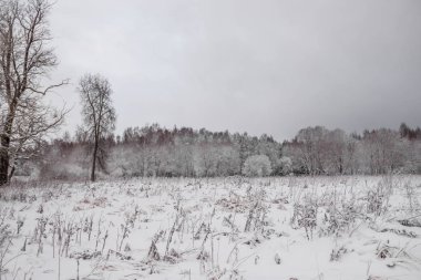 Bulutlu havada karlı parkın kış manzarası