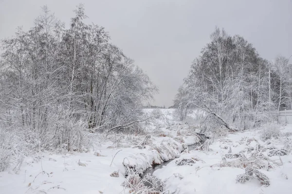 Bulutlu havada karlı parkın kış manzarası