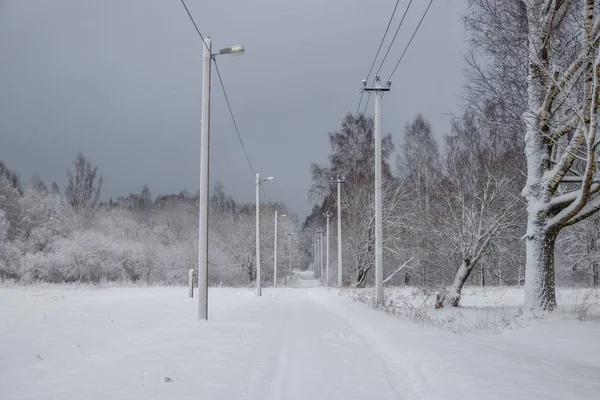 Winterlandschap Van Besneeuwd Park Bij Bewolkt Weer — Stockfoto