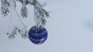 Kışın ladin bir dalı üzerinde Top. Video kar ve bir top ile dal. Mavi Noel topu.