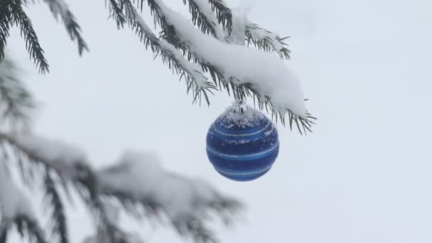 Boll på en gren av Gran på vintern. Video snö och gren med en boll. Blå julkula. — Stockvideo