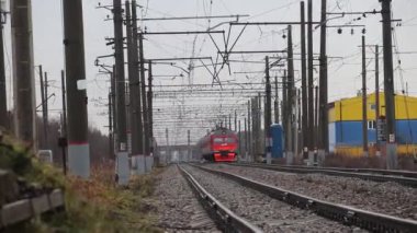 Tren trenle yola çıktı. Bir sürü araba video. Rus treni. Sonbahar. Rusya, Leningrad bölgesi, asker köyü18 Kasım 2018