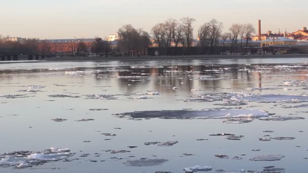 Río Que Fluye Con Hielo Derretido Vídeo Primavera — Vídeo de stock