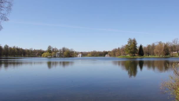 Rivier Stroomt Bomen Groeien Langs Rivieroever Lente Video — Stockvideo