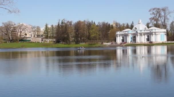 Река Течет Деревья Растут Вдоль Берега Реки Весеннее Видео — стоковое видео