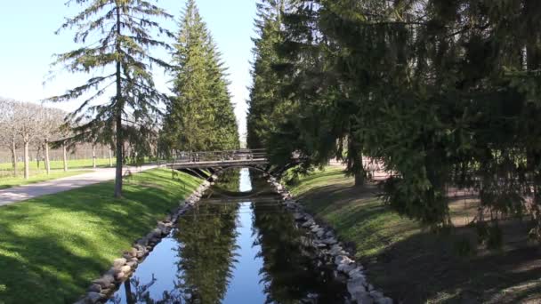 Vista Abetos Puente Sobre Canal Agua Durante Día — Vídeo de stock