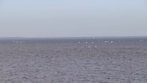 Vista Del Mar Tranquilo Vídeo Del Paisaje Marino — Vídeos de Stock