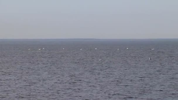 Vista Del Mar Tranquilo Vídeo Del Paisaje Marino — Vídeos de Stock