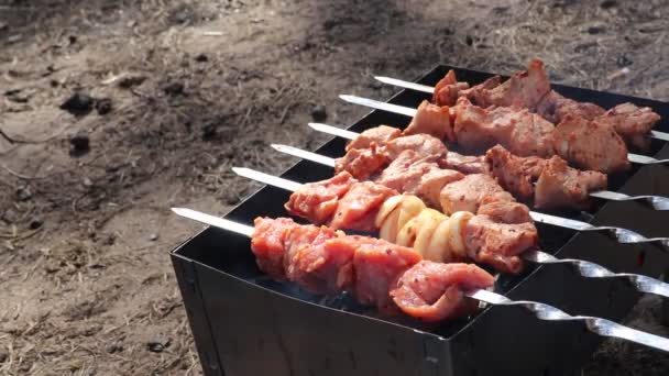 Gros Plan Viande Non Cuite Sur Les Brochettes — Video