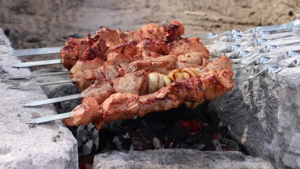 Gros Plan Viande Non Cuite Sur Les Brochettes — Video