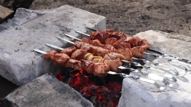 Gros Plan Viande Non Cuite Sur Les Brochettes — Video