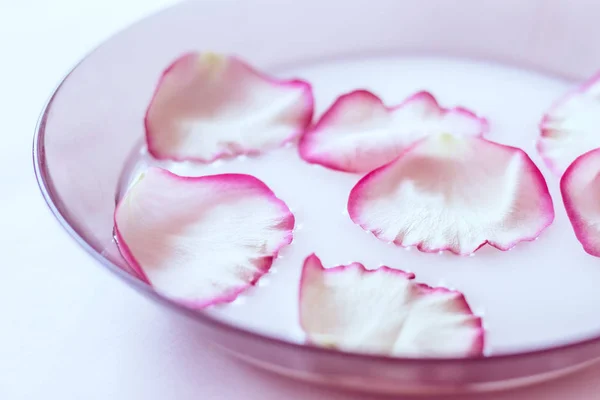 Pétalos Rosa Leche Leche Con Pétalos Plato Aromaterapia — Foto de Stock