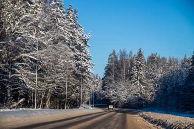 Kış yolunun manzarası. Yol boyunca karlı ağaçlar. Kış yolculuğu 