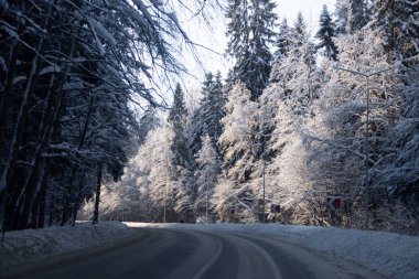 Kış yolunun manzarası. Yol boyunca karlı ağaçlar. Kış yolculuğu 