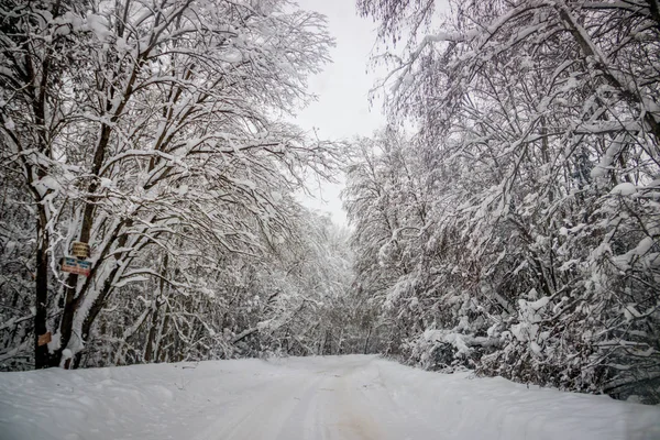 Vista Carretera Invierno Árboles Nevados Largo Del Camino Viaje Invierno — Foto de Stock