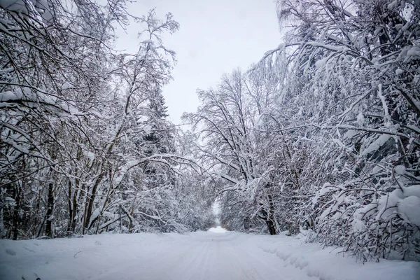 Vista Carretera Invierno Árboles Nevados Largo Del Camino Viaje Invierno — Foto de Stock