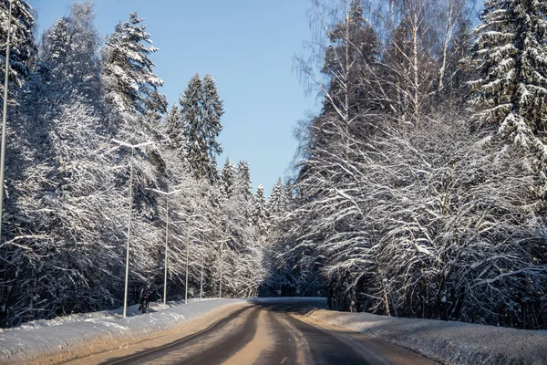 View Winter Road Snowy Trees Road Winter Journey — Stock Photo, Image