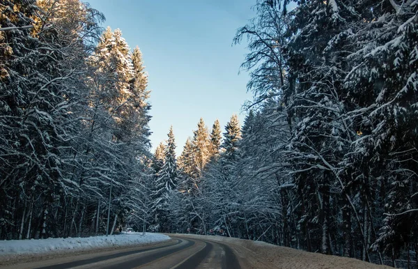 View Winter Road Snowy Trees Road Winter Journey — Stock Photo, Image