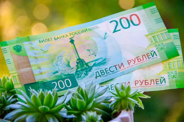 Dinheiro Papel Planta Potenciômetro Rússia Gatchina Julho 2018 — Fotografia de Stock