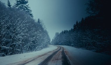 Kış yolunun manzarası. Yol boyunca karlı ağaçlar. Kış yolculuğu 