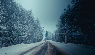 Kış yolunun manzarası. Yol boyunca karlı ağaçlar. Kış yolculuğu 