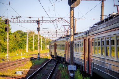 Yaz ormanı boyunca raylar üzerinde Kırmızı Rus treni, Rusya, Oranienbaum Temmuz 31, 2018