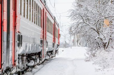 Kış ormanı boyunca raylı kırmızı Rus treni, Rusya, Leningrad bölgesi, Gatchina bölgesi, 26 Aralık 2018