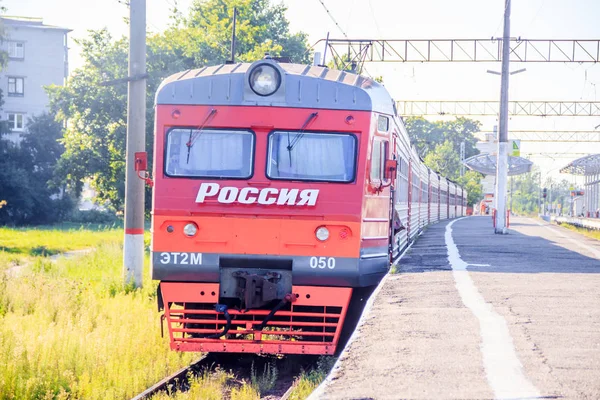 夏の森に沿ってレール上の赤いロシアの列車 ロシア オラニエンバウム 2018 — ストック写真