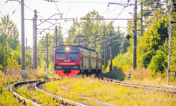 Tren Rojo Ruso Sobre Raíles Largo Del Bosque Verano Rusia — Foto de Stock