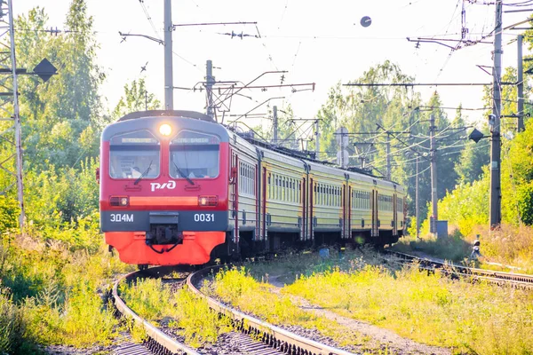 夏の森に沿ってレール上の赤いロシアの列車 ロシア オラニエンバウム 2018 — ストック写真