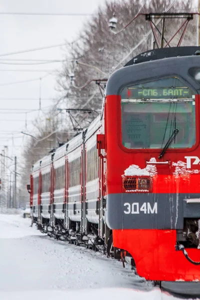 Red Russian Train Rails Winter Forest Rússia Região Leningrado Distrito — Fotografia de Stock