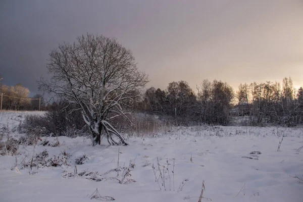 Schneefeld Bei Sonnenuntergang Winter Schöner Himmel — Stockfoto