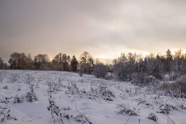 Besneeuwde Veld Bij Zonsondergang Winter Prachtige Hemel — Stockfoto